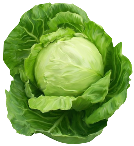 изображение продукции